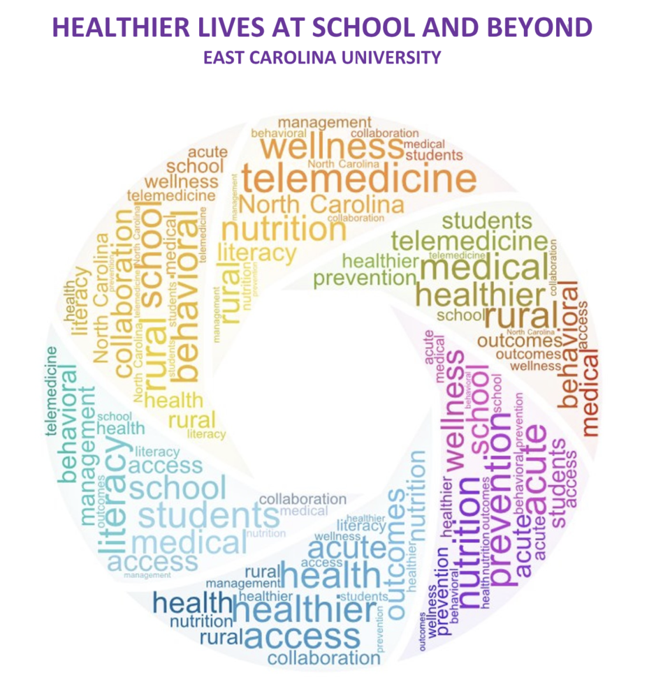 Healthier Lives at School and Beyond